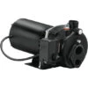 Wayne Water Well Jet Pump - 1/2HP CONV JET WELL PUMP
